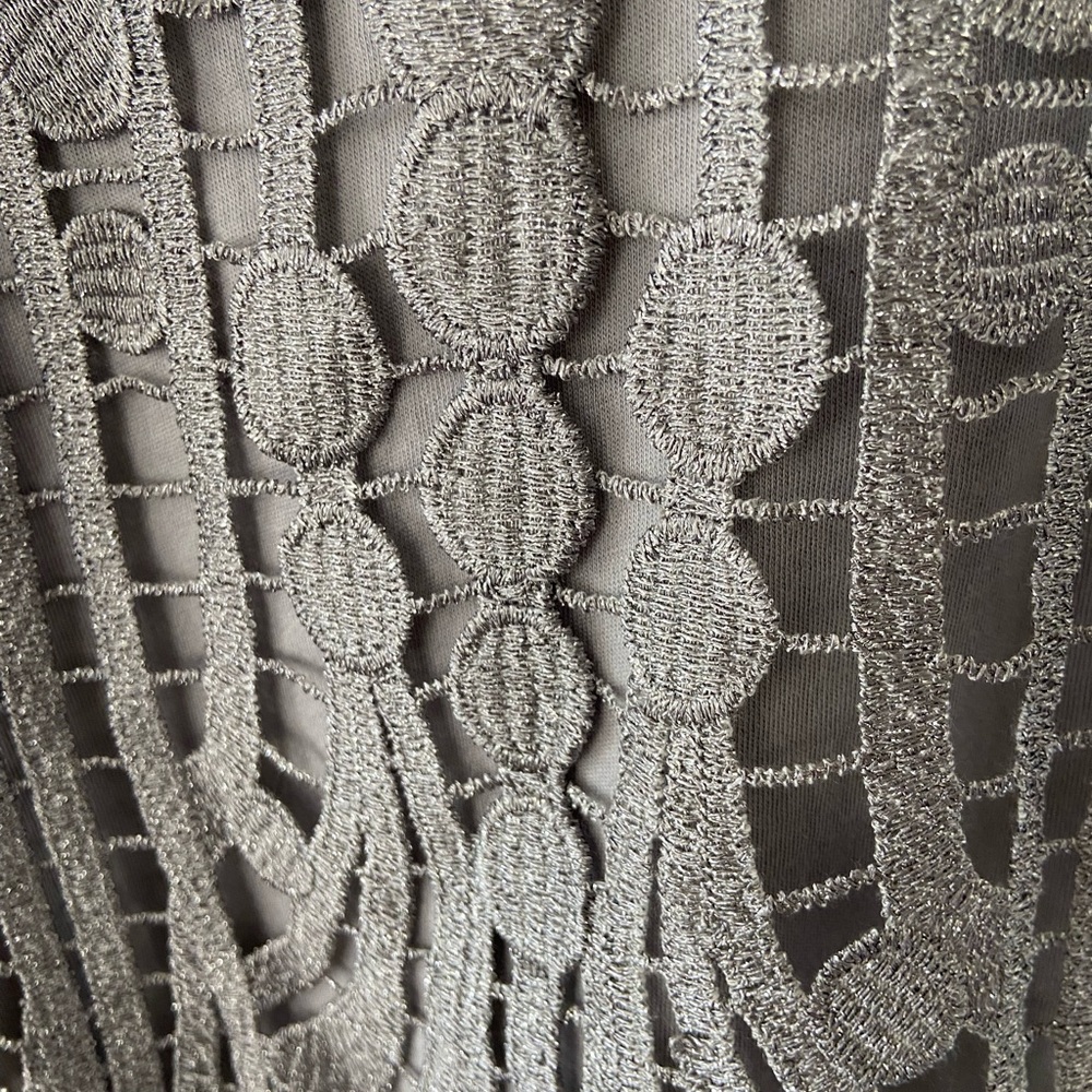 Express Silver Lace Tank Top - Picture 2 of 4